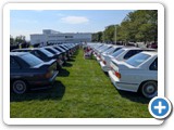 Sigfest 2025
(Photo: Jeff Burgess)