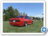Sigfest 2025 - Owner: Barry Solomon
(Photo: Barry Solomon)